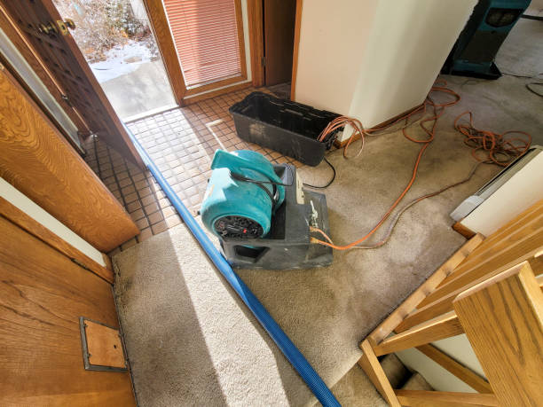Best Residential water damage restoration  in Amherst, VA