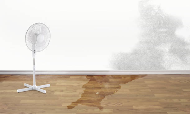 Best 24-hour water damage restoration  in Amherst, VA