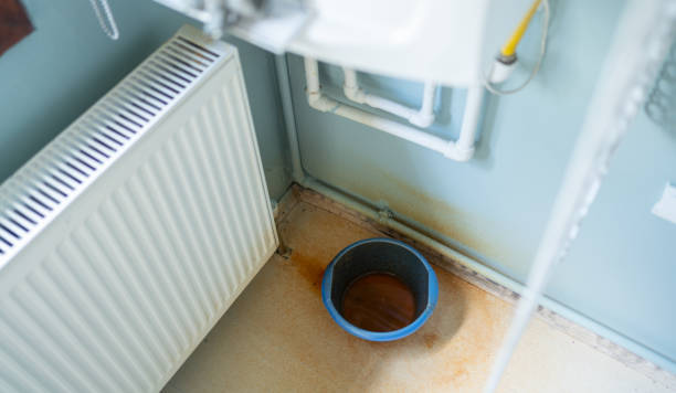 Best Water damage restoration specialists  in Amherst, VA