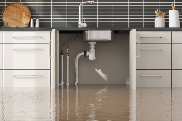 Best Water damage restoration near me  in Amherst, VA