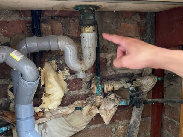 Best Flooded house restoration  in Amherst, VA