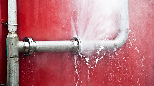 Best Professional water damage repair  in Amherst, VA